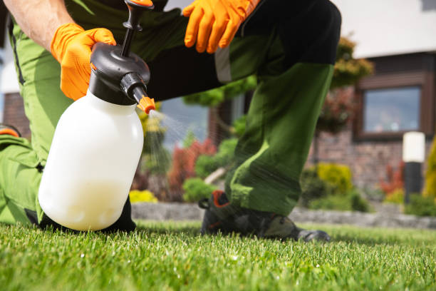 Best Best Pest Control Companies  in Shawnee, OK